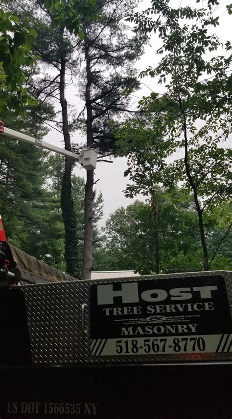 host tree service hudson ny